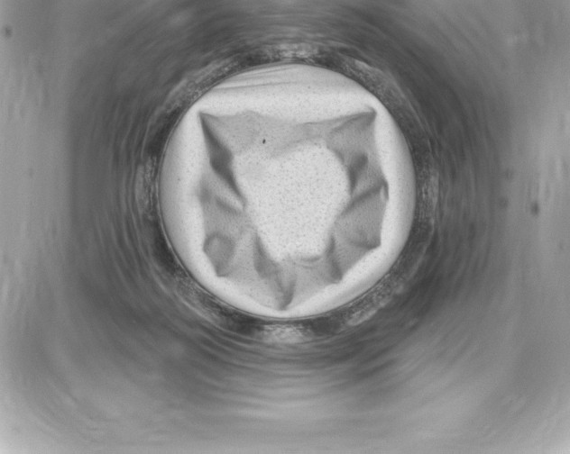 X0000087680218200706011702