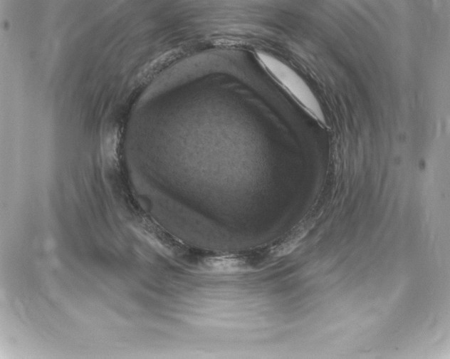 X0000087680219200706011702