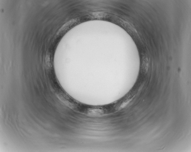 X0000087680220200706011702