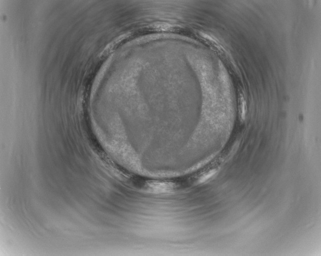 X0000087680221200706011702