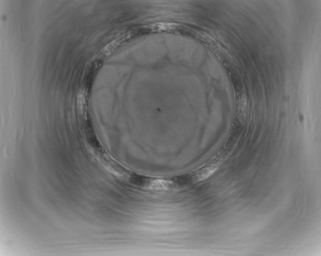 X0000087680222200706011702