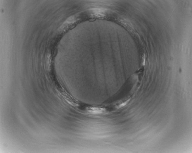 X0000087680223200706011702