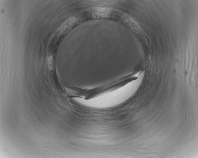 X0000087680224200706011702