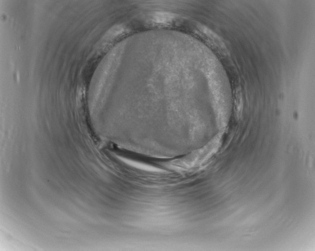 X0000087680225200706011702