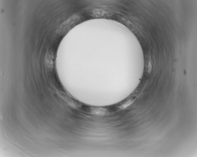 X0000087680226200706011702