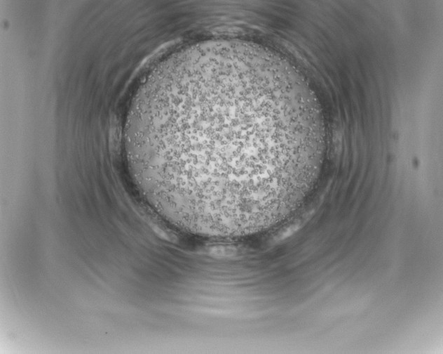 X0000087680228200706011702