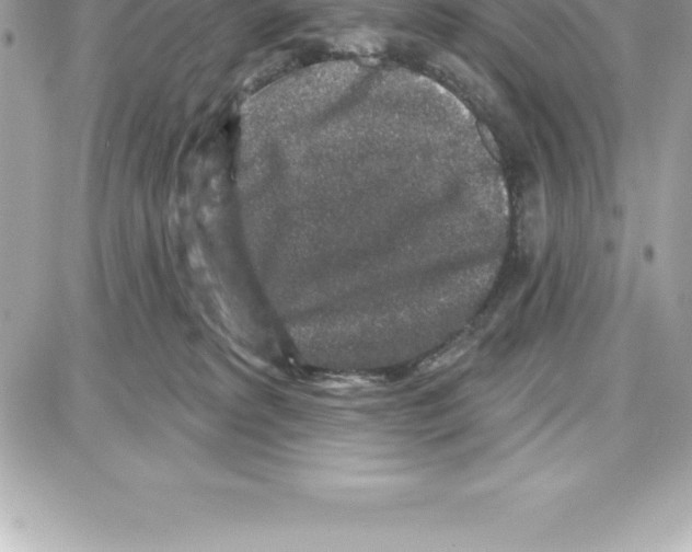 X0000087680229200706011702