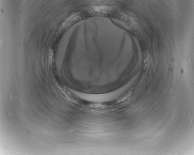 X0000087680231200706011702