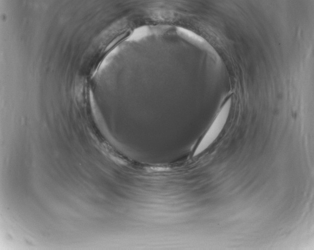 X0000087680233200706011702