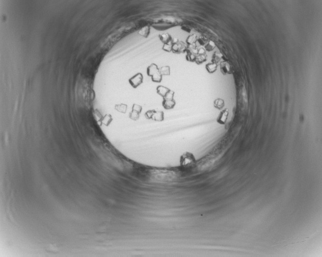 X0000087680234200706011702