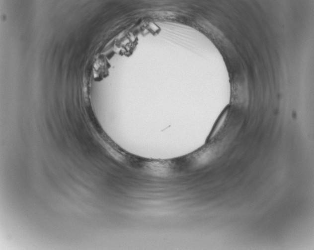 X0000087680238200706011702