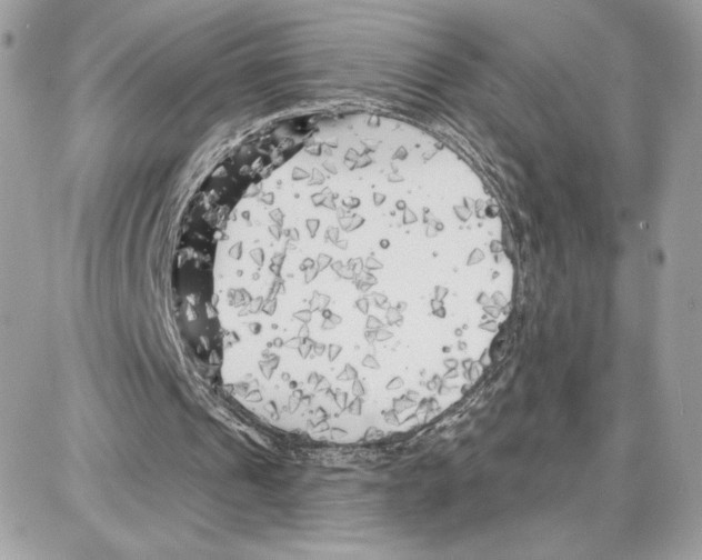 X0000087680241200706011701