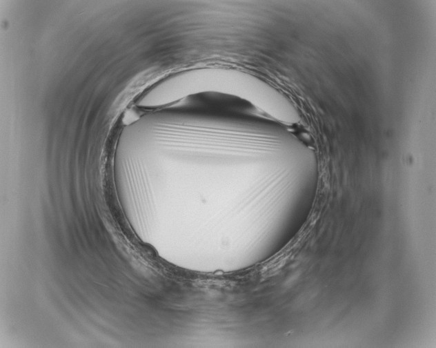 X0000087680242200706011701