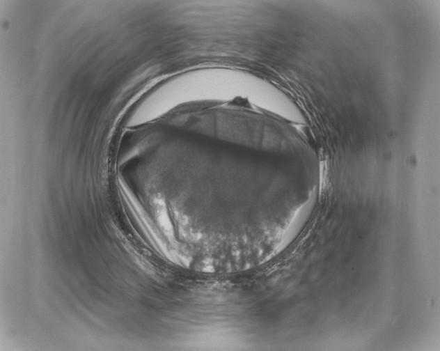 X0000087680243200706011701