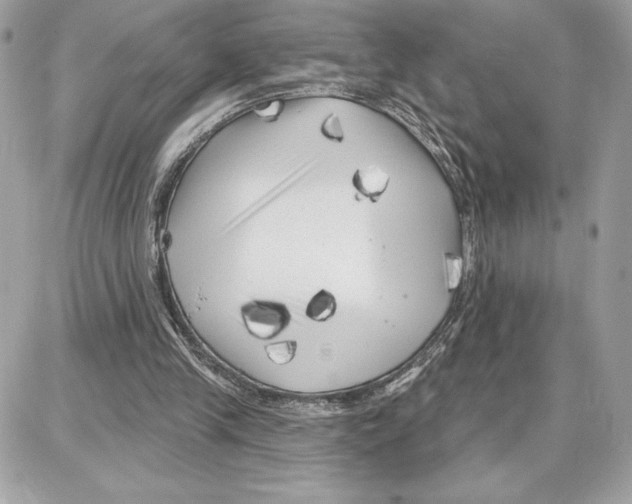 X0000087680245200706011701