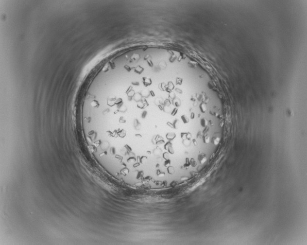 X0000087680246200706011701