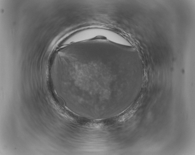 X0000087680247200706011701