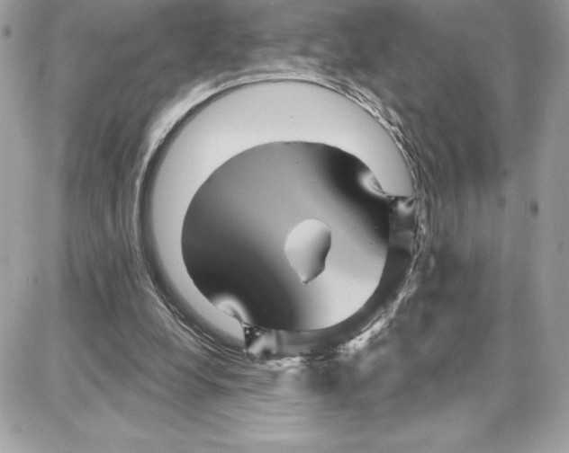 X0000087680248200706011701