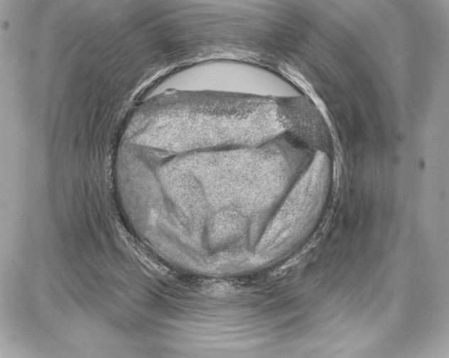 X0000087680249200706011701