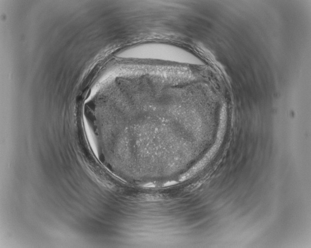 X0000087680250200706011701