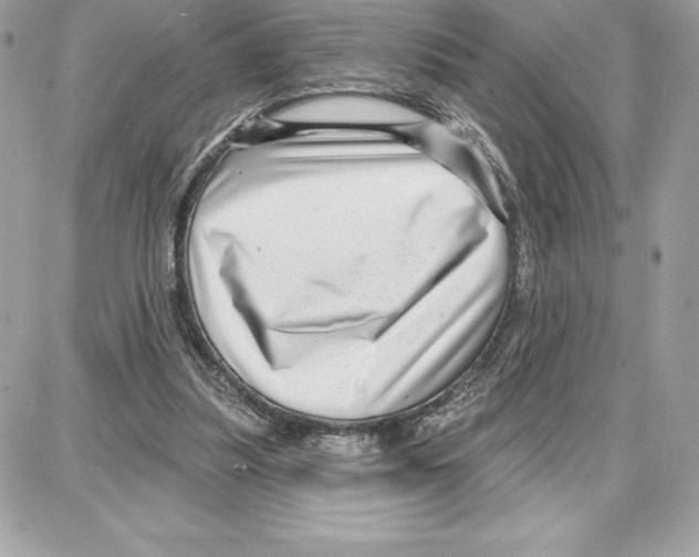 X0000087680251200706011701