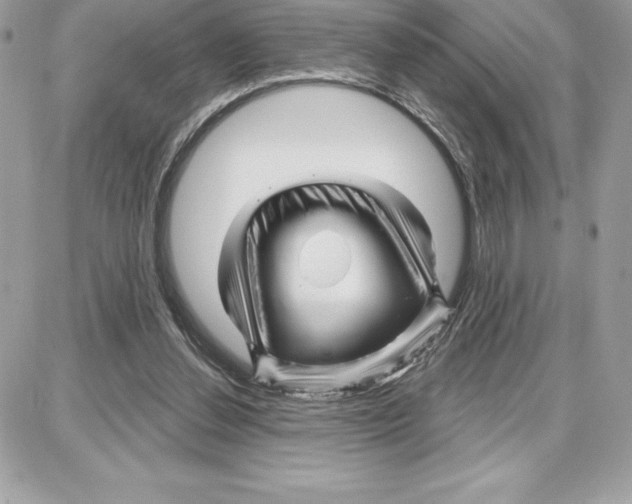 X0000087680252200706011701