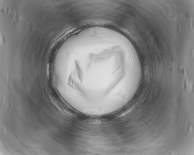 X0000087680254200706011701