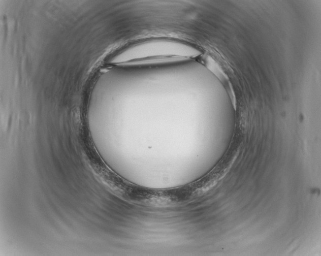 X0000087680256200706011701