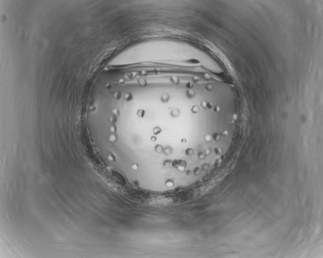 X0000087680257200706011701