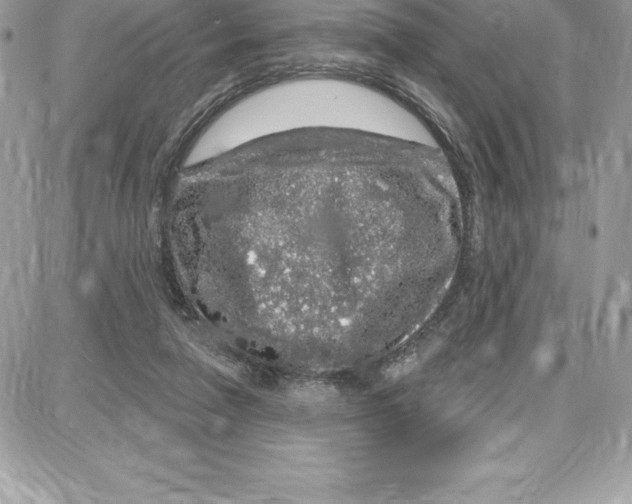 X0000087680258200706011701