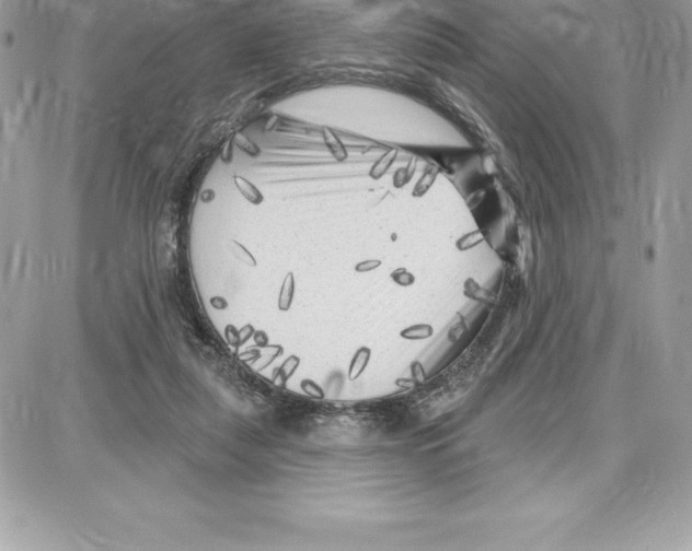 X0000087680259200706011701