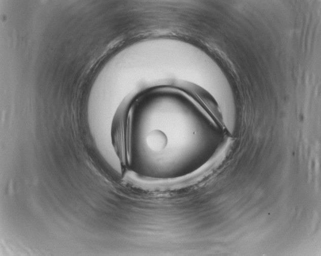 X0000087680260200706011701