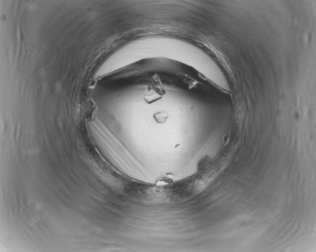 X0000087680261200706011701