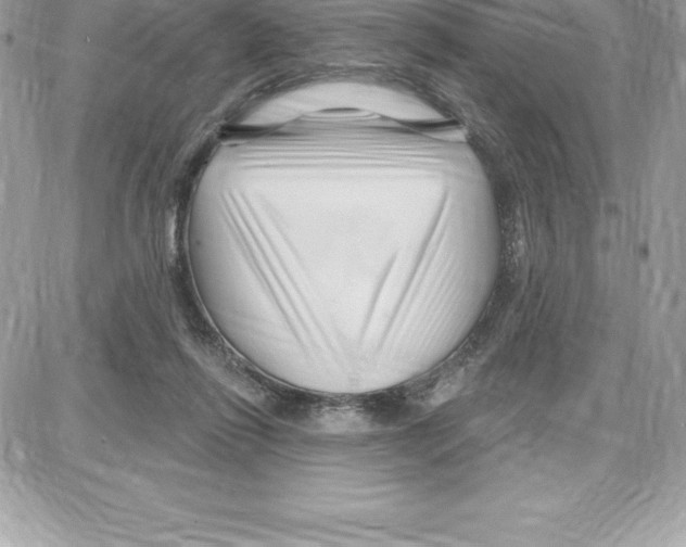 X0000087680262200706011701