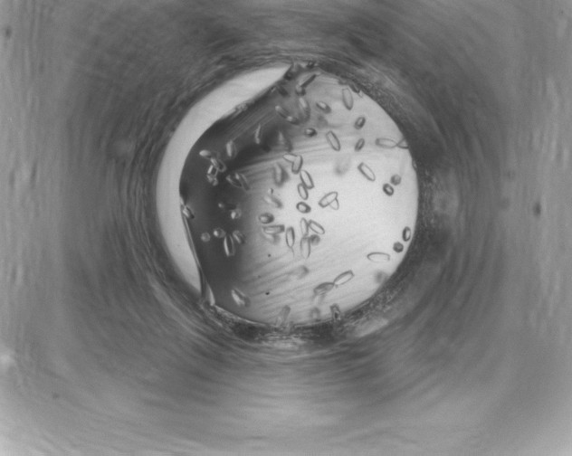 X0000087680263200706011701