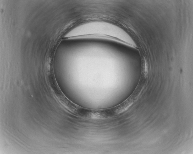 X0000087680264200706011701