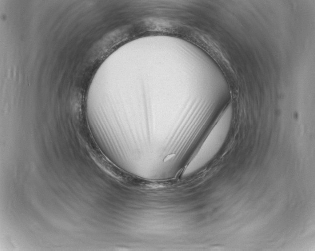 X0000087680265200706011701