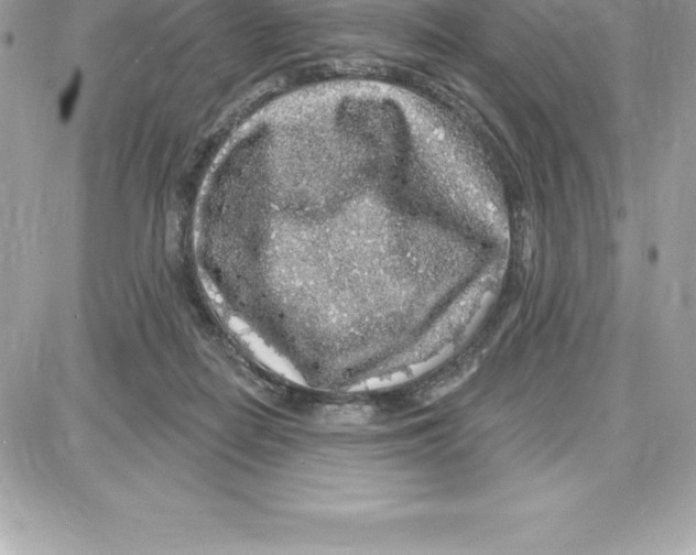 X0000087680266200706011701