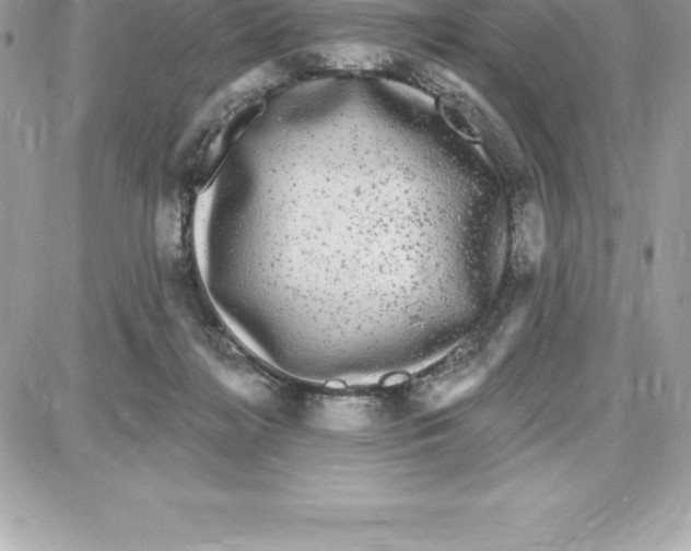 X0000087680268200706011701