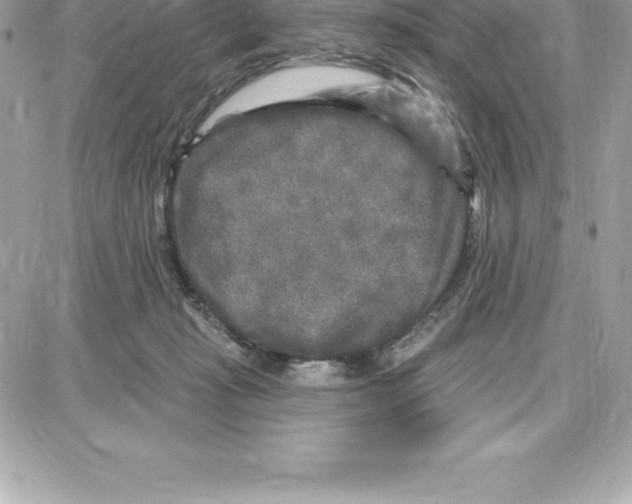 X0000087680269200706011701