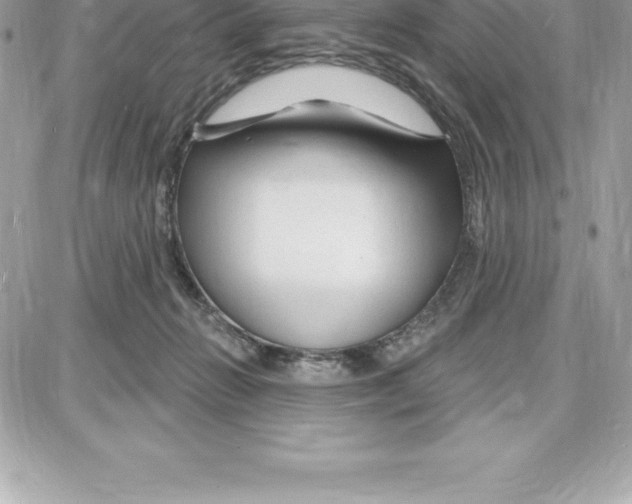 X0000087680270200706011701