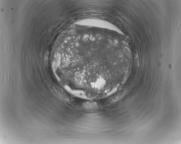 X0000087680271200706011701