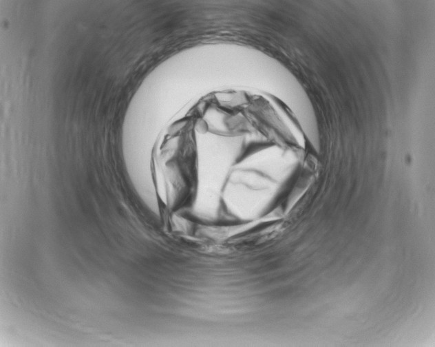 X0000087680272200706011701