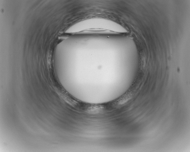 X0000087680274200706011702