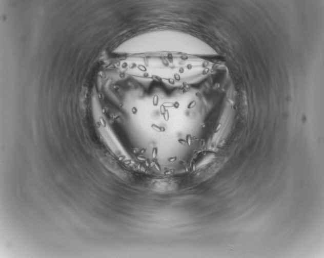 X0000087680275200706011702