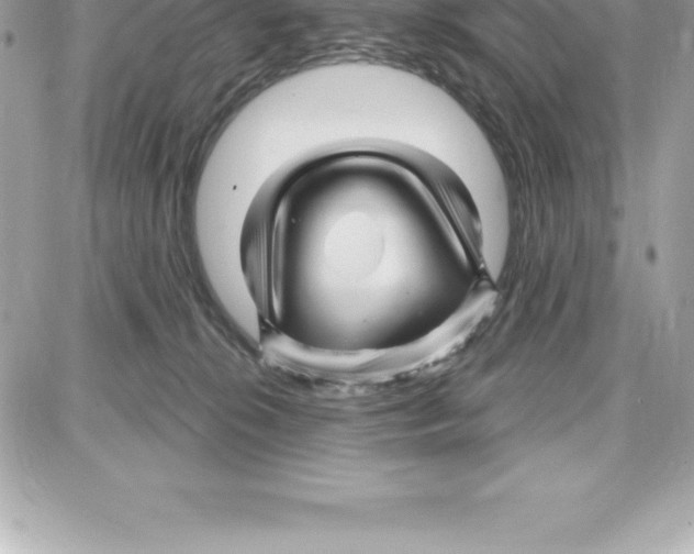 X0000087680276200706011702