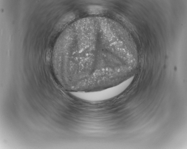 X0000087680277200706011702