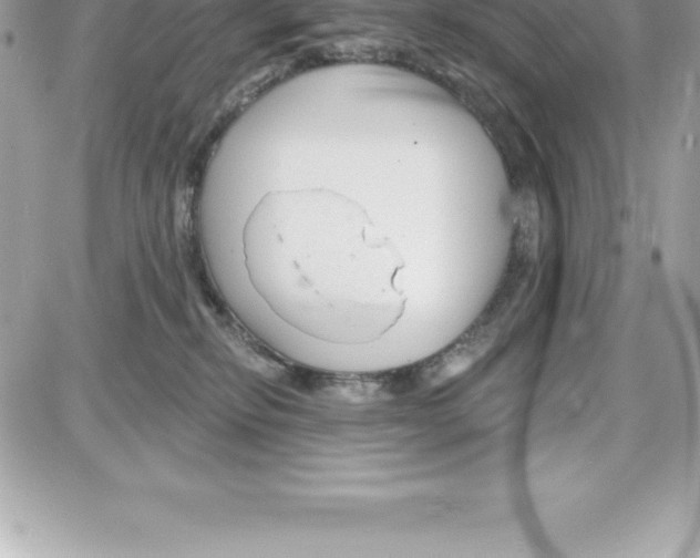 X0000087680278200706011702