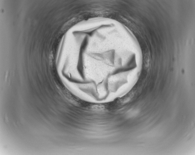 X0000087680279200706011702