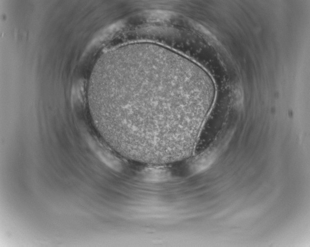 X0000087680280200706011702